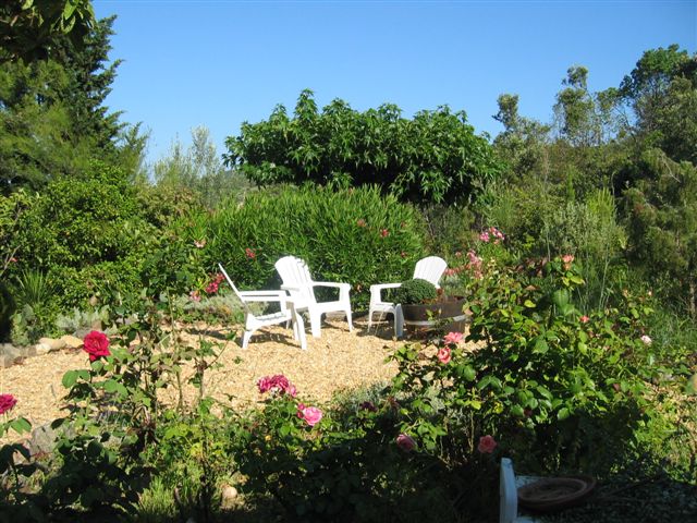 terras2.jpg